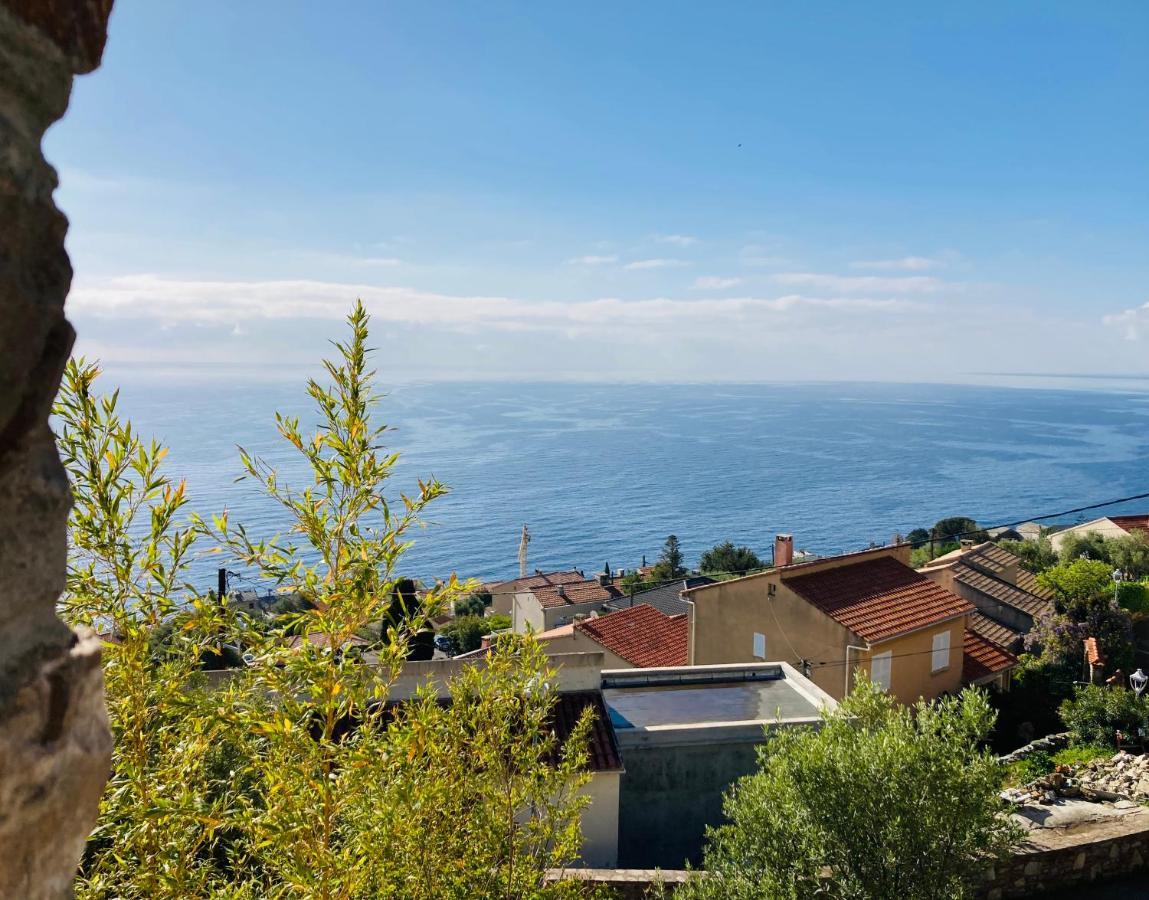 Maison Mediterraneo - Rez De Villa, Vue Imprenable Sur La Mer Pietranera Eksteriør bilde