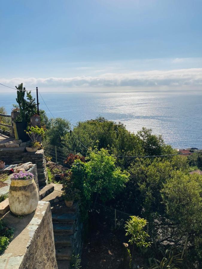 Maison Mediterraneo - Rez De Villa, Vue Imprenable Sur La Mer Pietranera Eksteriør bilde